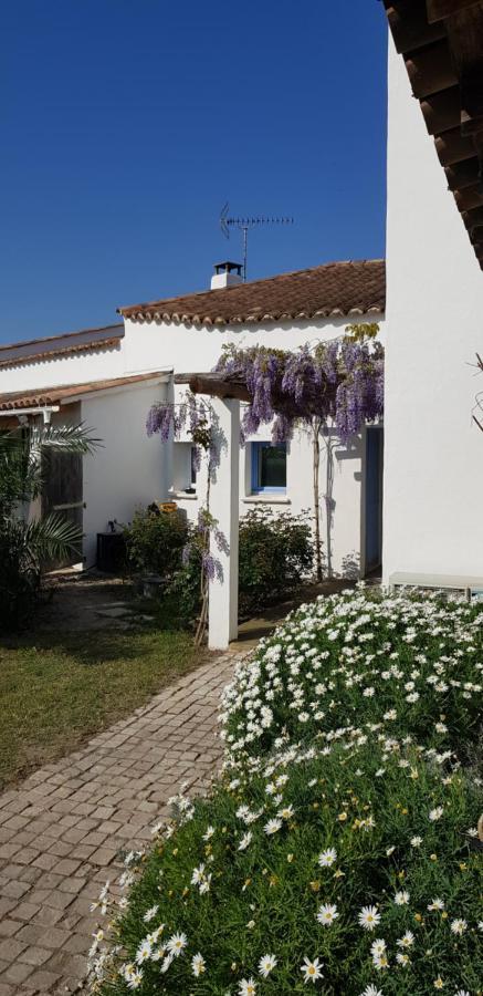 Le Mas Des Sagnes Saintes-Maries-de-la-Mer Exterior foto