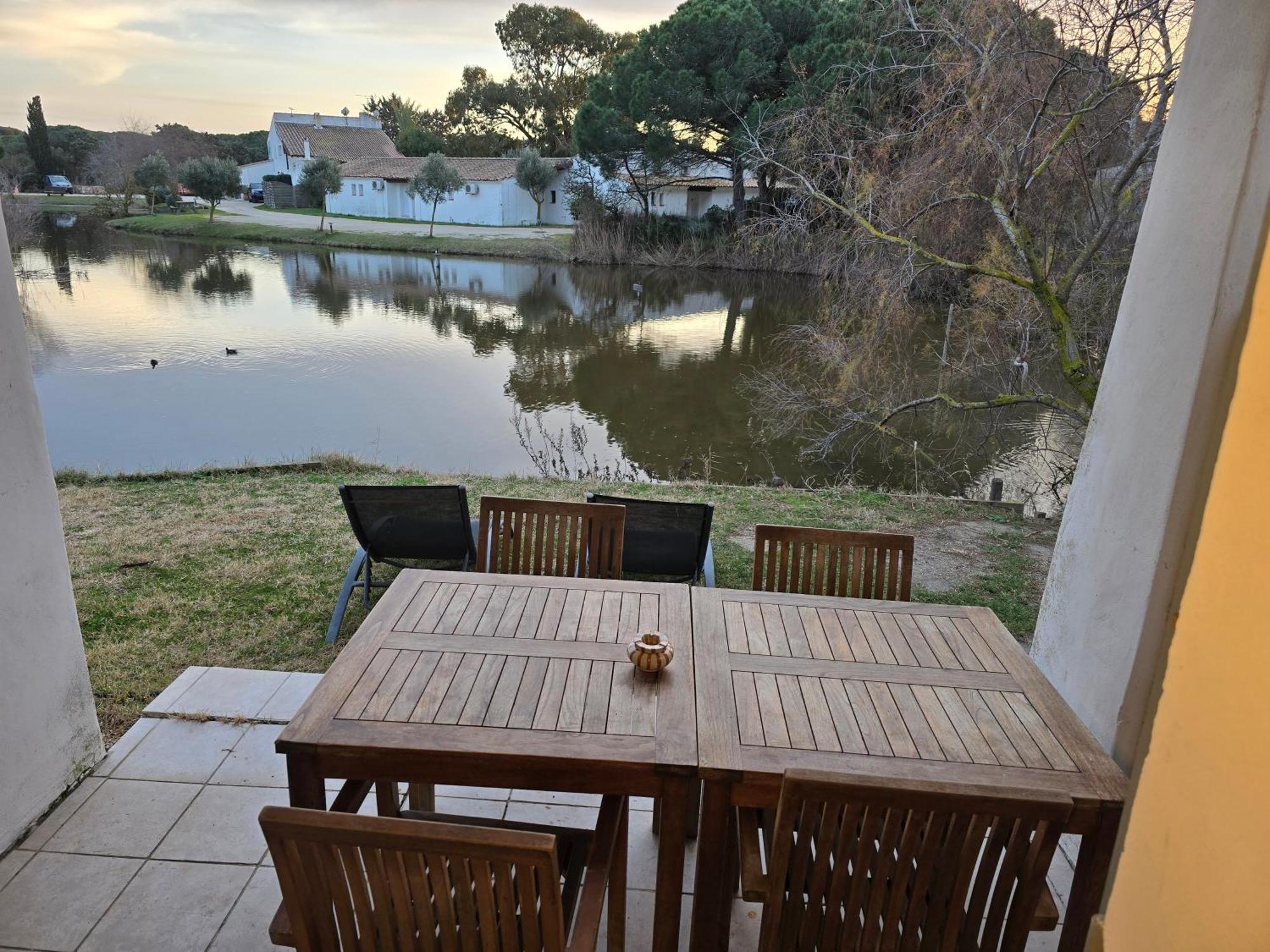 Le Mas Des Sagnes Saintes-Maries-de-la-Mer Habitación foto